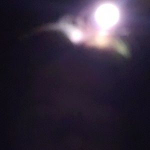 Meet your Posher, Jesse